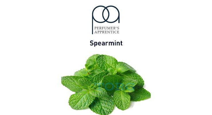 Изображение Ароматизатор TPA Spearmint Ароматизатор TPA Spearmint