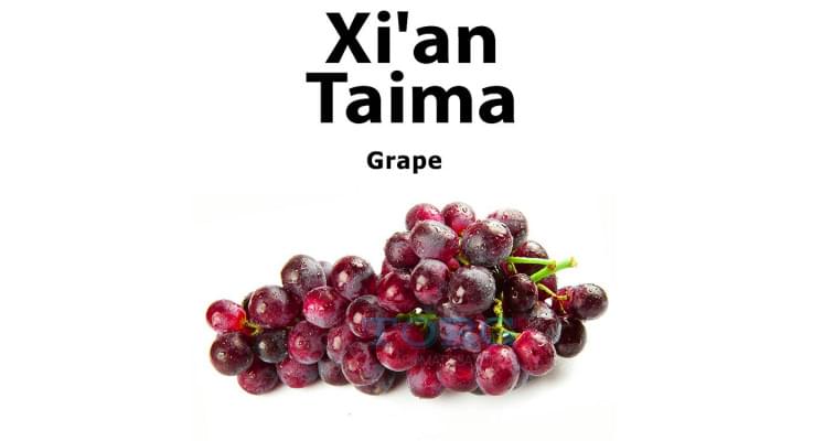 Изображение Ароматизатор Xi'an Taima Grape Ароматизатор Xi'an Taima Grape
